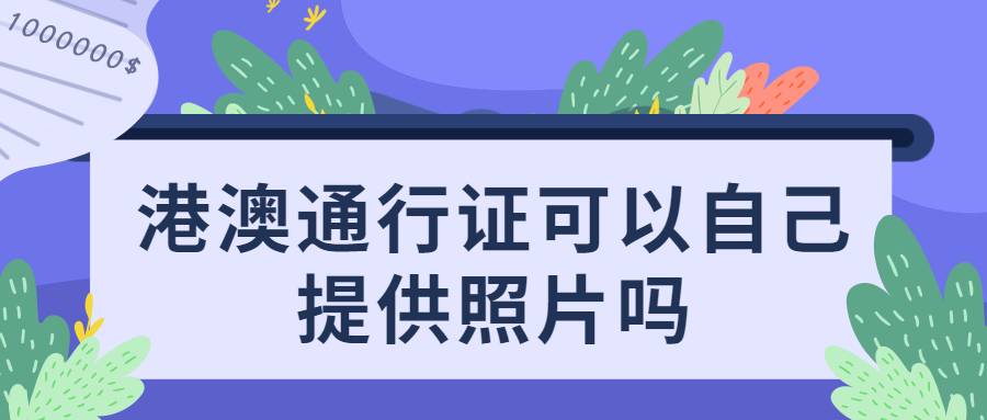 港澳通行证可以自己提供照片吗