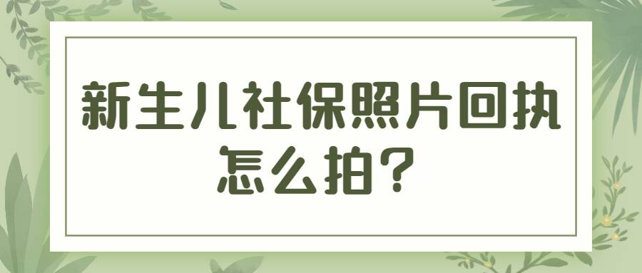 新生儿社保照片回执怎么拍？