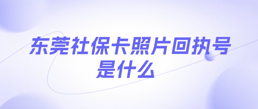 东莞社保卡照片回执号是什么？